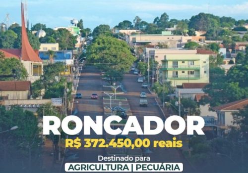Roncador