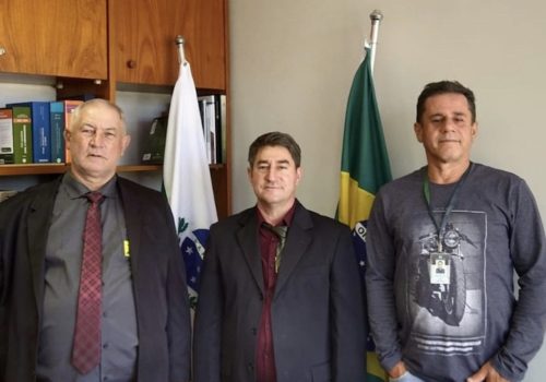 Pinhal de São Bento